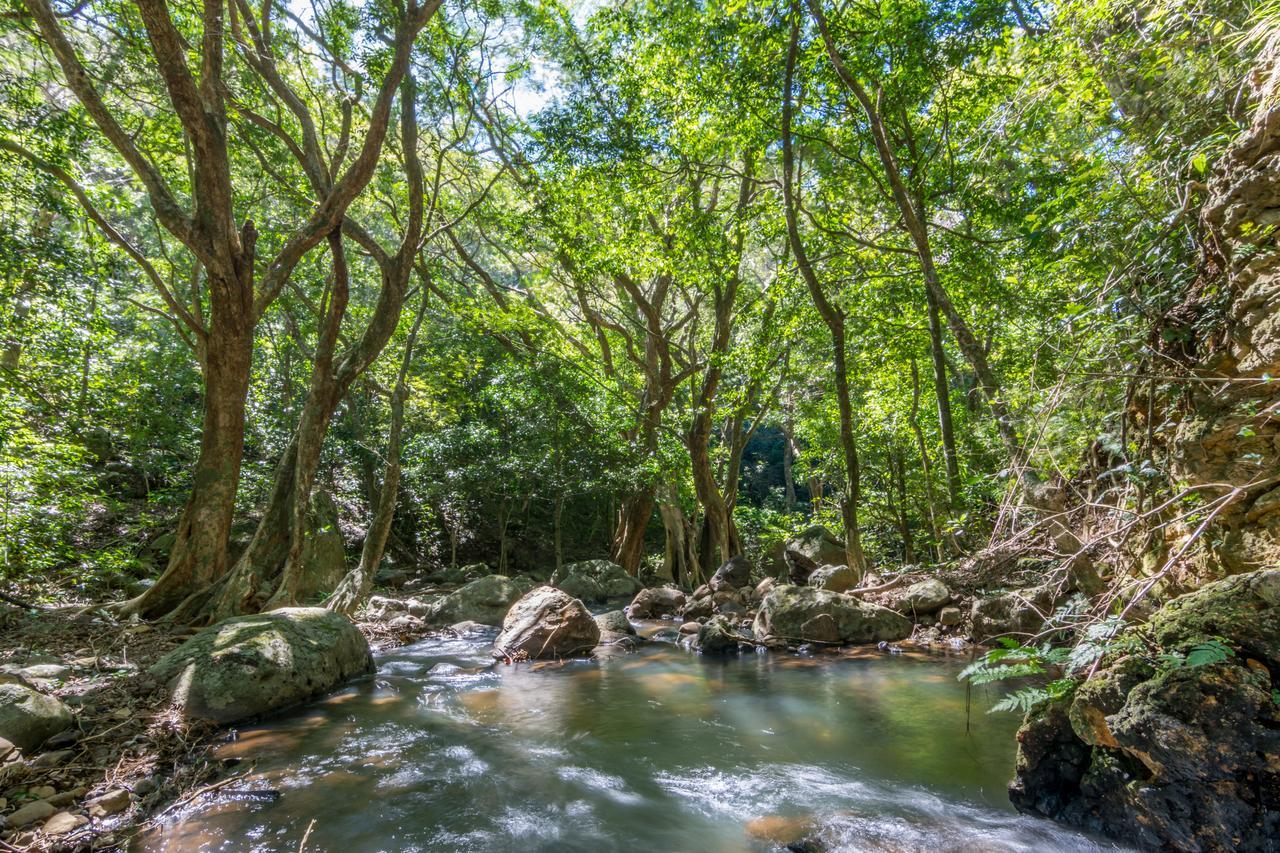 Rinconcito Lodge Hacienda Santa Maria ภายนอก รูปภาพ